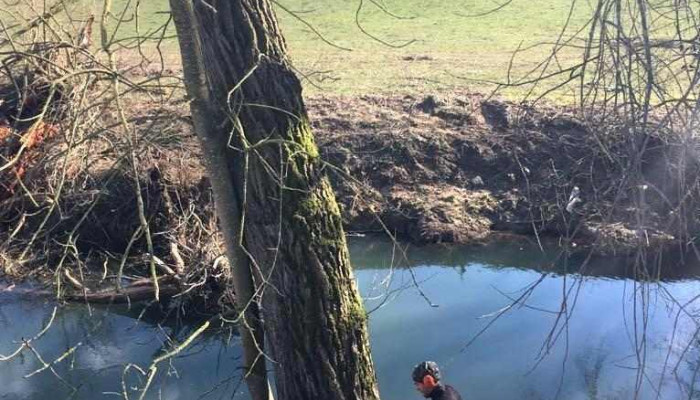 Seraphin Paysagiste Videoene - Steinfort