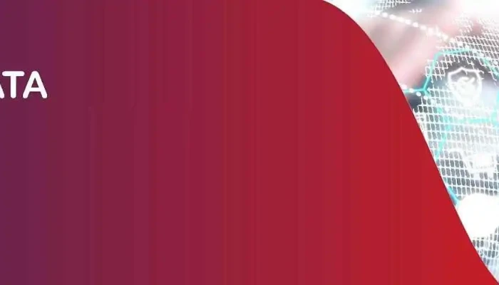 Simac Phi Data - Steinfort