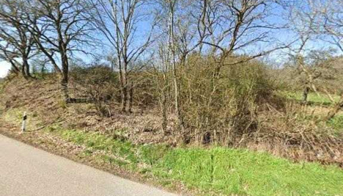 Soins Du Jardin -  Street View 360deg Fotos - Esch-sauer