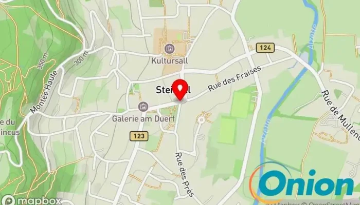Kaart vun Steinsel  zu Steinsel