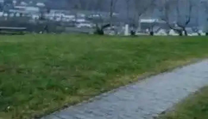 Steinsel -  Videos - Steinsel
