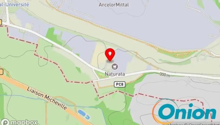 Kaart vun Techniclean Reinigungsdienst zu Esch an der Alzette