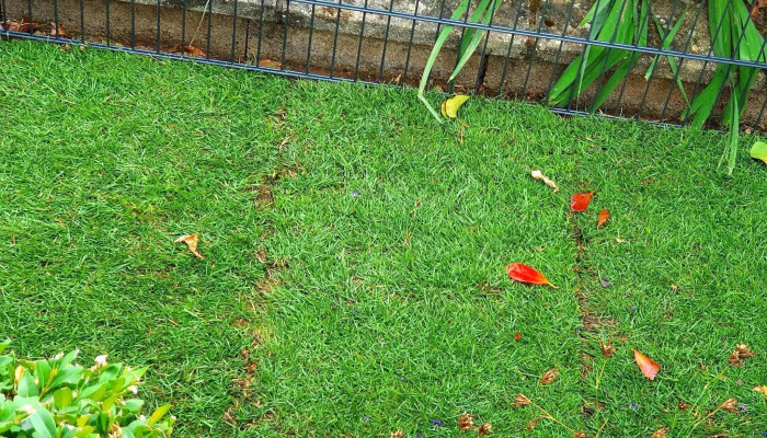 Top Garden Sarl Mertzig - Mertzig