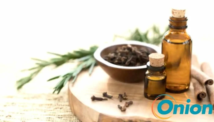 Verveine Odyssee Geigende - Dippach