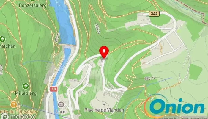 Kaart vun VIANDEN, Piscine Bushaltestelle zu Vianden