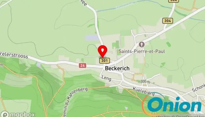Kaart vun Wazo Webdesigner, Softwareentwickler/-hersteller zu Beckerich