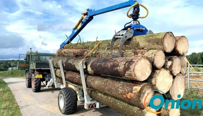 Woody Wood Peters Sàrl - Buschrodt