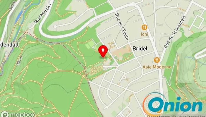 Youth Club De Bridel - - Bridel Kopstal